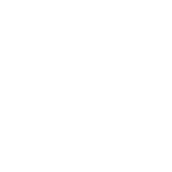 multimedia content 