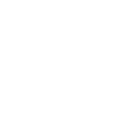 custom-content